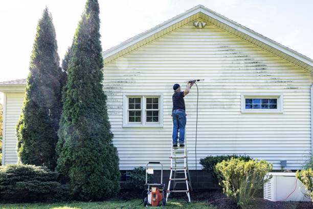 Best Dumpster Area Cleaning  in Laureles, TX